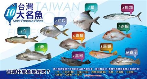 好魚排名